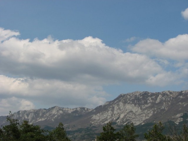 Frisbee Ajdovščina 2008 - foto