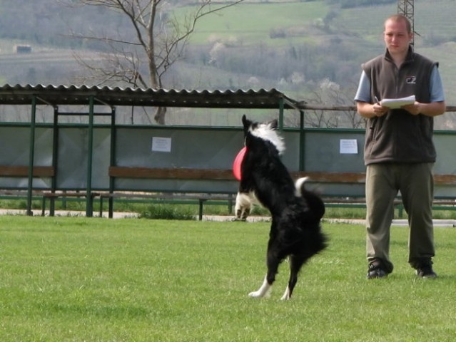 Frisbee Ajdovščina 2008 - foto