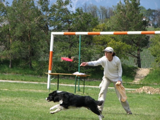 Frisbee Ajdovščina 2008 - foto