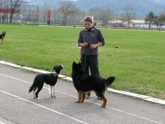 Frisbee Ajdovščina 2008 - foto