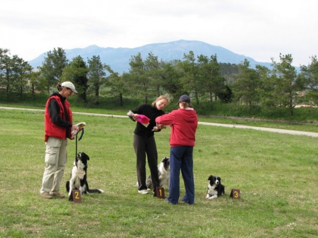 Frisbee Ajdovščina 2008 - foto