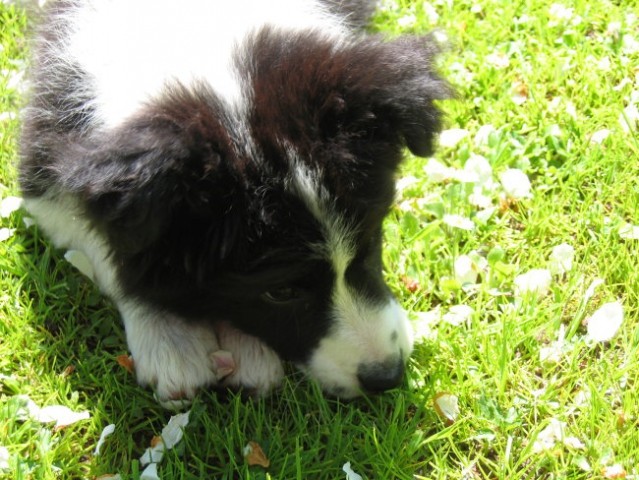 Junij 2006