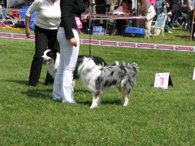 Cac hrušica 2007 - foto povečava