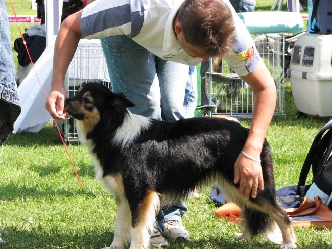 Cac hrušica 2007 - foto povečava