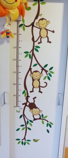 Nalepka opice na naši omari