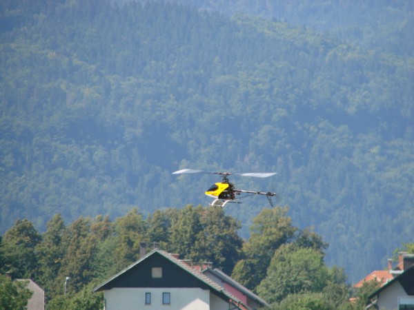 19. alpski pokal Lesce - foto povečava