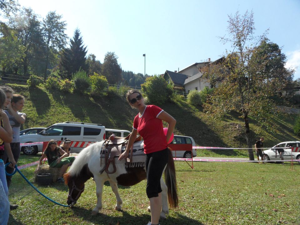 Prvi slovenski dan psov pomočnikov - foto povečava