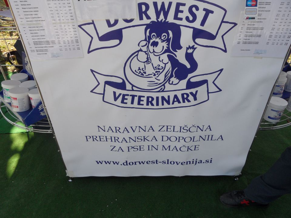 Prvi slovenski dan psov pomočnikov - foto povečava