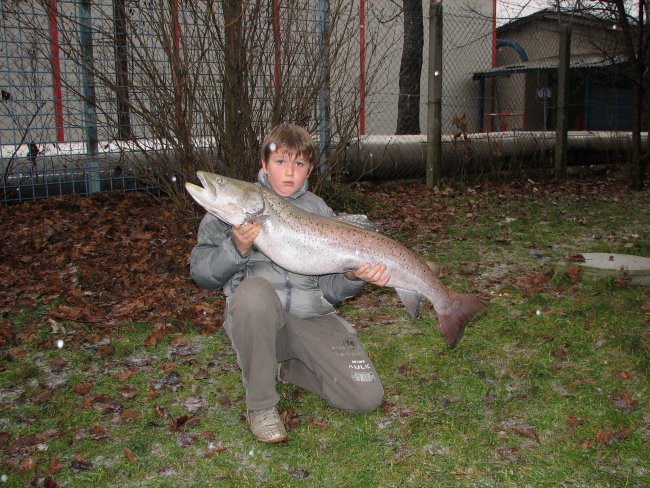 SULEC 108 - 13,80 KG - foto povečava