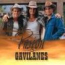 pasion de gavilanes