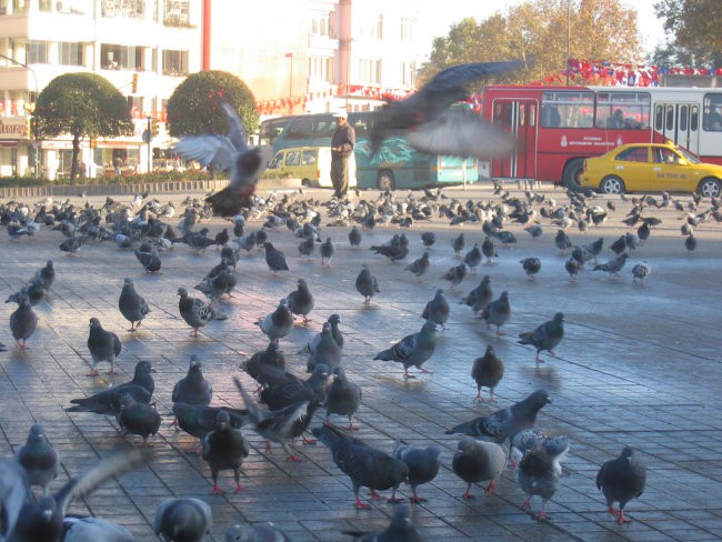 Istambul - foto povečava