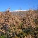 Mt.Ventoux