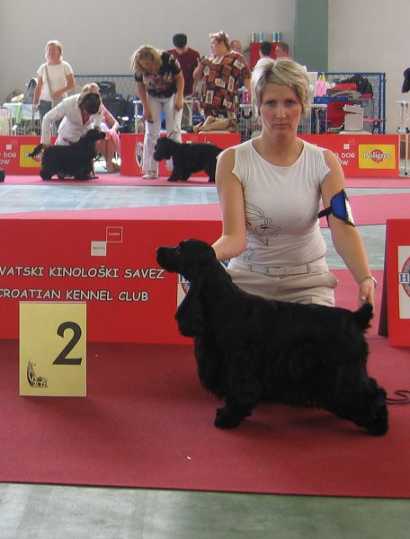 EURO DOG SHOW Zagreb 2007 - Paša 2 leti