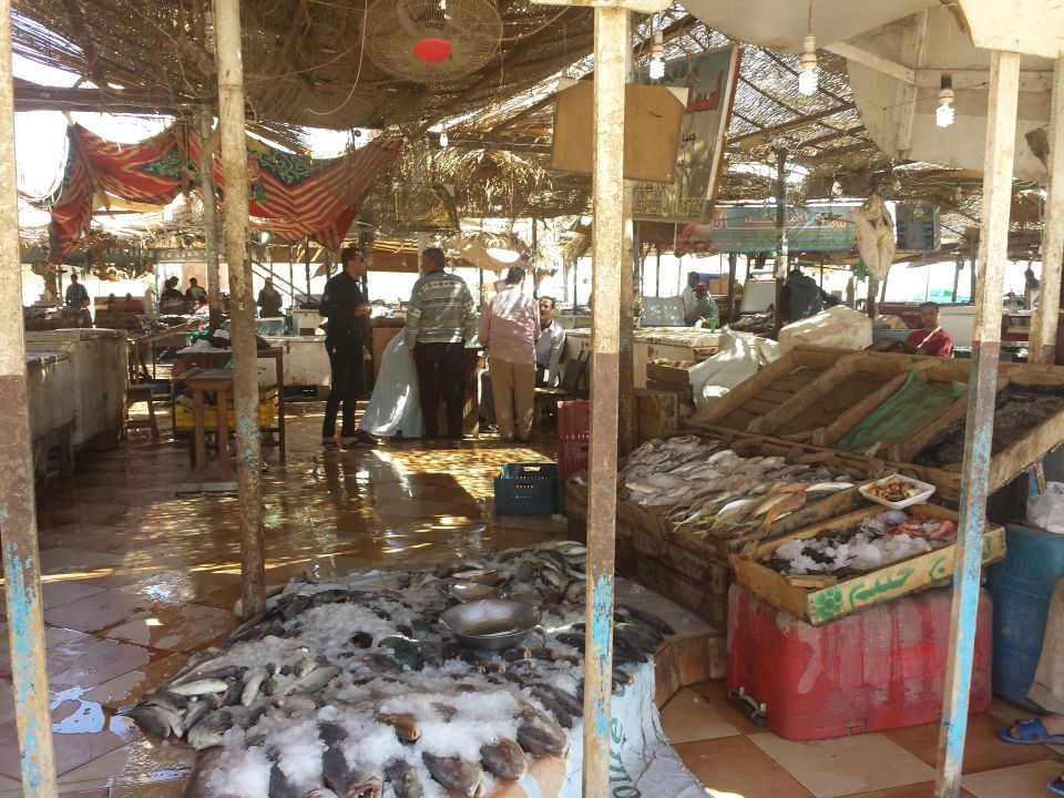 Egipt 8.3-15.3.2014 - foto povečava