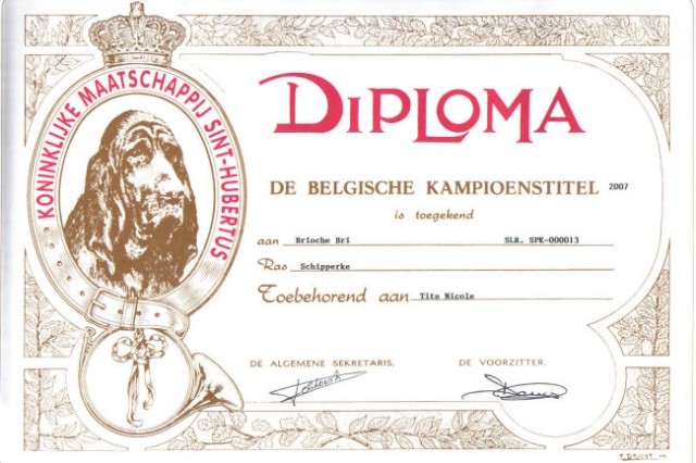 Brioche BRI Ch-B (diploma)