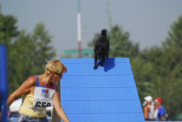 2007-07 Agility EO Leno - foto