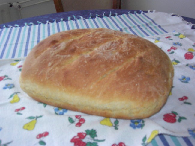 Kruh brez gnetenja